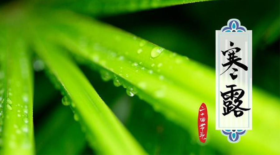 寒露時節(jié)到！金環(huán)電器提醒這些干衣事項要注意