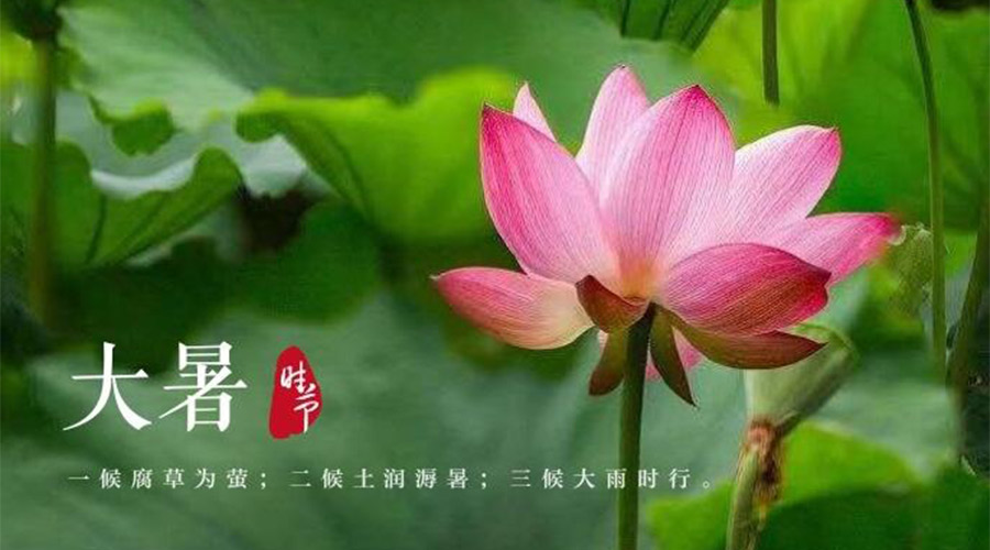 大暑時(shí)節(jié)！金環(huán)電器提醒大家要注意的事項(xiàng)